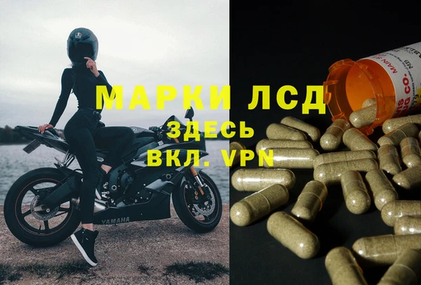 MESCALINE Белокуриха