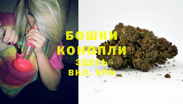 трава Белоозёрский